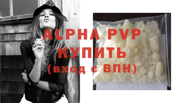 PSILOCYBIN Коряжма