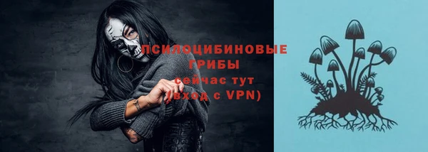 прущая мука Корсаков