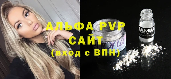 прущая мука Корсаков