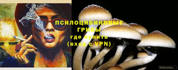PSILOCYBIN Коряжма