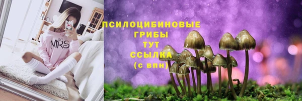 прущая мука Корсаков