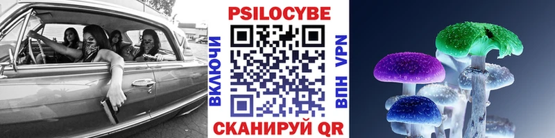 Купить где  Ивдель  Галлюциногенные грибы Magic Shrooms 